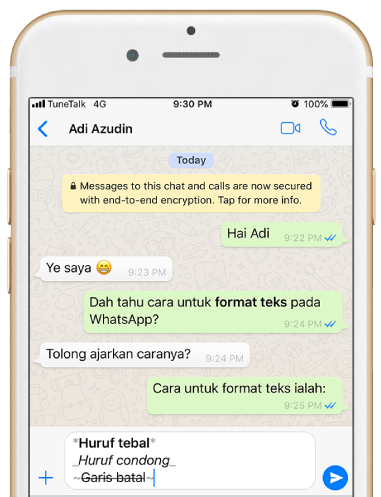 Format teks WhatsApp